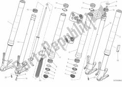 forcella anteriore