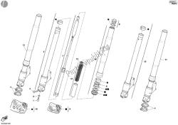 forcella anteriore