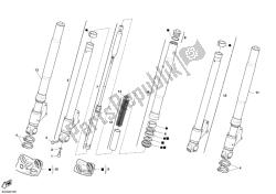 forcella anteriore