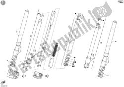 forcella anteriore