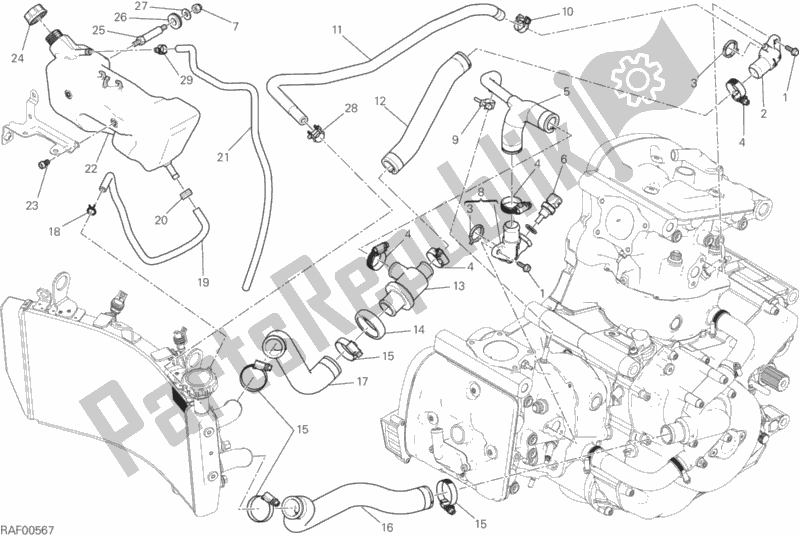 All parts for the Cooling System of the Ducati Monster 821 2017