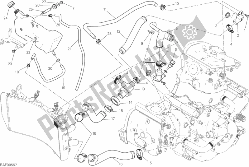 All parts for the Cooling System of the Ducati Monster 821 2017