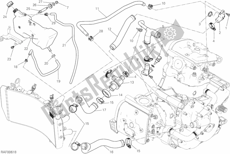 All parts for the Cooling System of the Ducati Monster 821 2018