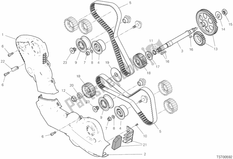 All parts for the Distribuzione of the Ducati Monster 821 2019