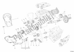 cinghia di distribuzione