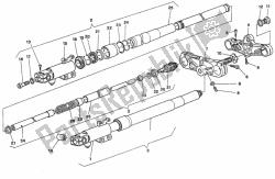 forcella anteriore