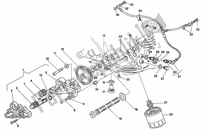 Tutte le parti per il Pompa Dell'olio - Filtro del Ducati Superbike 888 1995