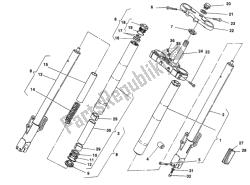 forcella anteriore