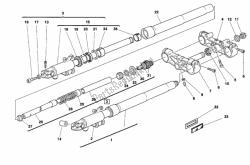 forcella anteriore