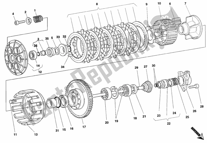 All parts for the Clutch of the Ducati Monster 900 1995