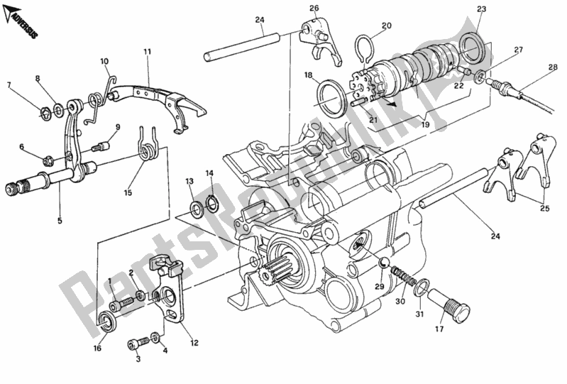 Tutte le parti per il Meccanismo Di Cambio Marcia del Ducati Monster 900 1995