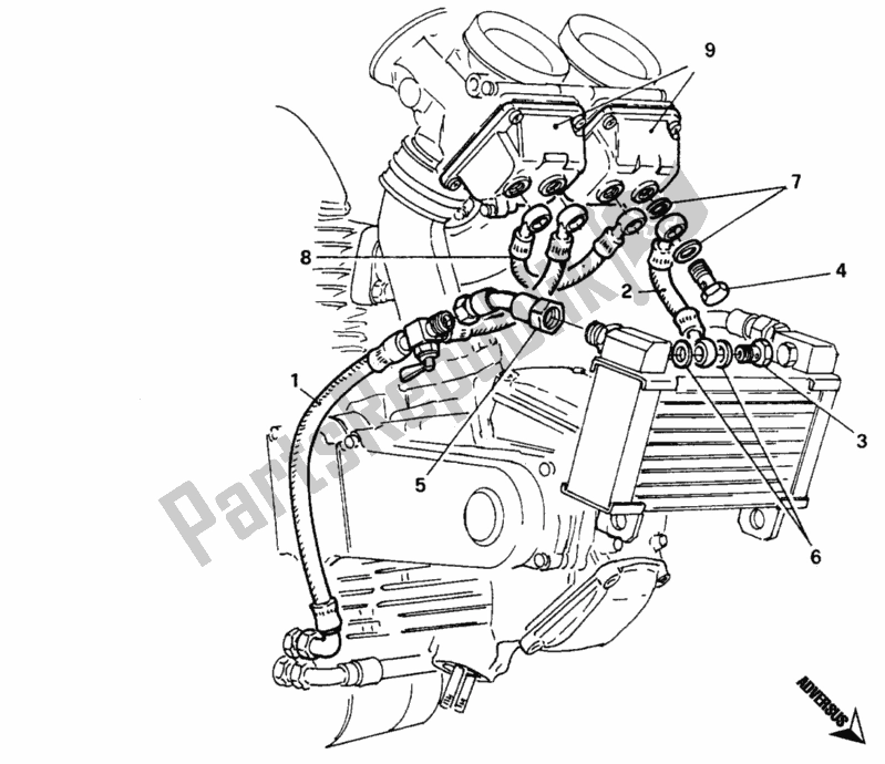 Alle onderdelen voor de Vlotterkamer Verwarming van de Ducati Monster 900 1996