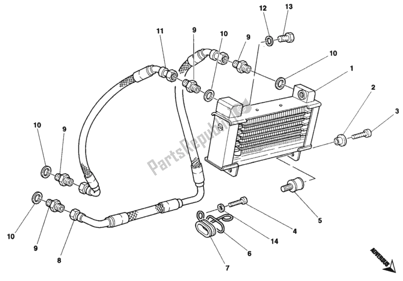 Tutte le parti per il Radiatore Dell'olio del Ducati Monster 900 1996