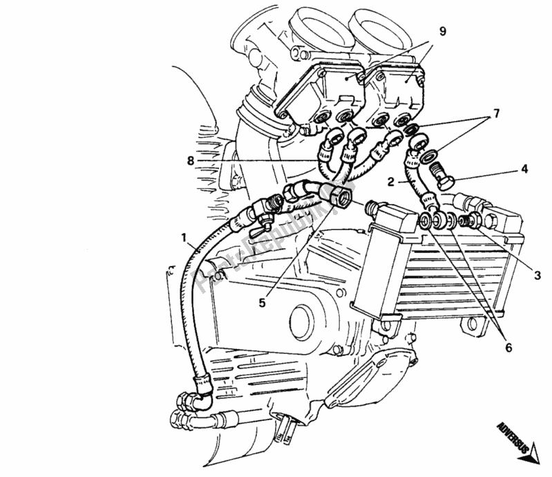 Alle onderdelen voor de Vlotterkamer Verwarming van de Ducati Monster 900 1997