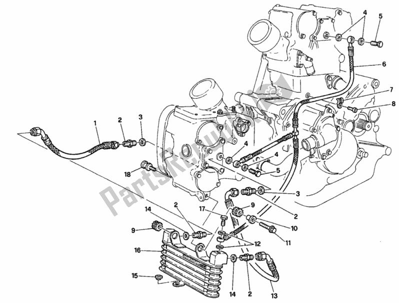 Tutte le parti per il Radiatore Dell'olio del Ducati Superbike 916 1994
