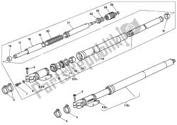 forcella anteriore