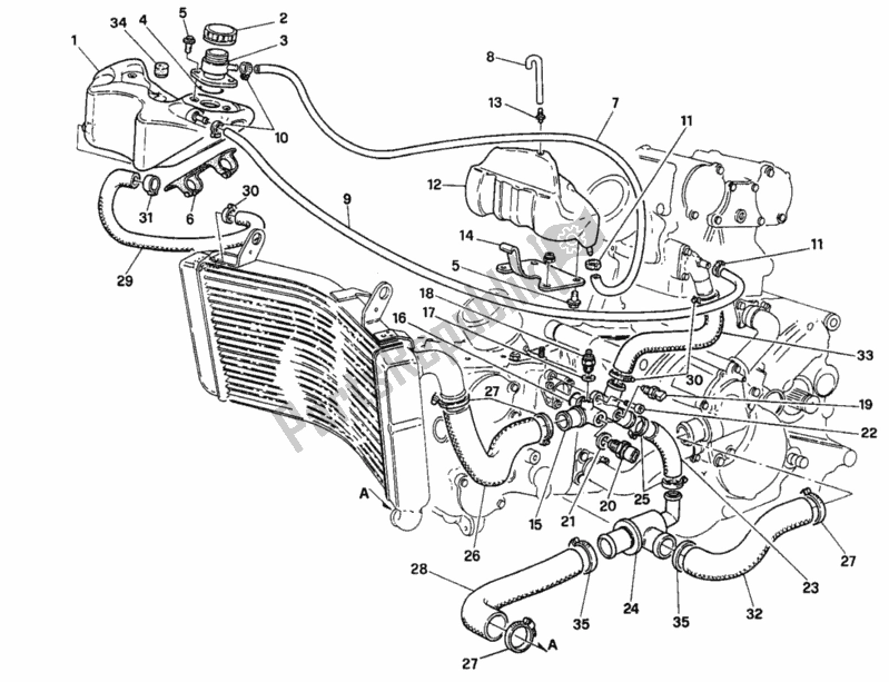 Tutte le parti per il Circuito Di Raffreddamento del Ducati Superbike 916 1996