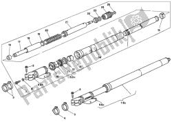 forcella anteriore