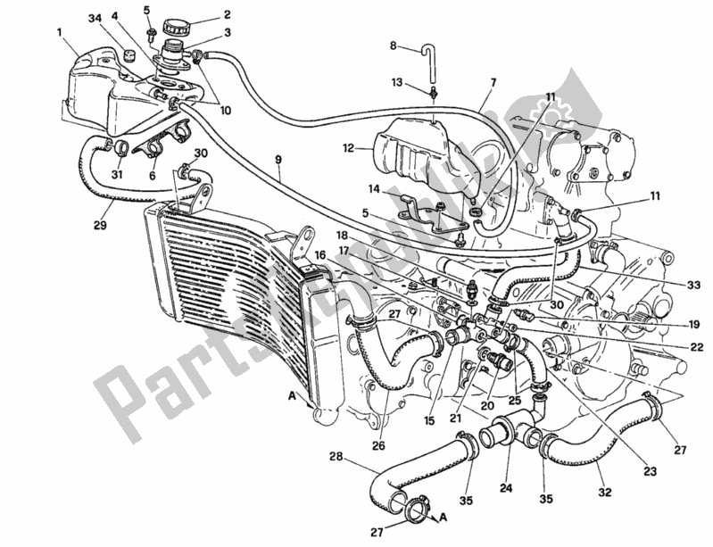 Todas las partes para Circuito De Enfriamiento de Ducati Superbike 916 1997