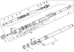 forcella anteriore