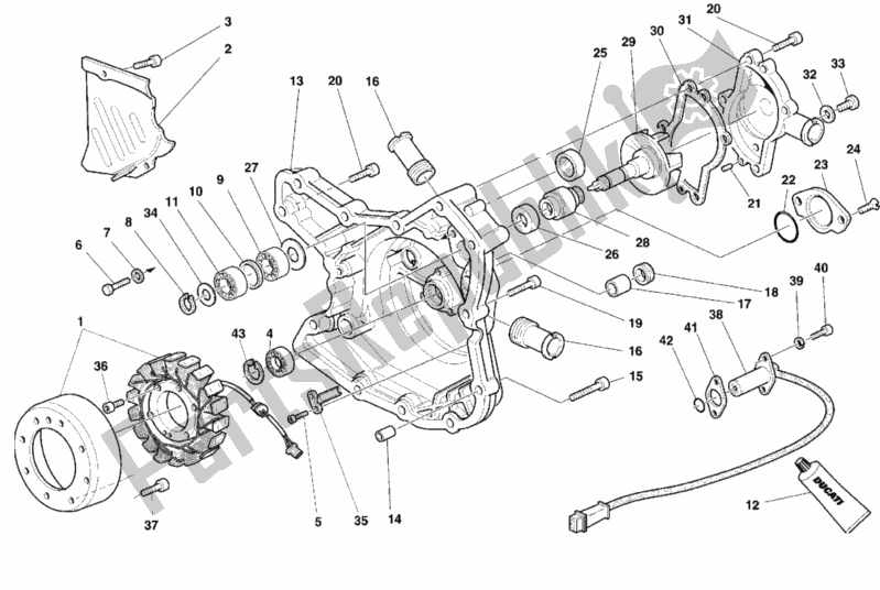 Alle onderdelen voor de Generatorafdekking - Waterpomp van de Ducati Superbike 996 1999