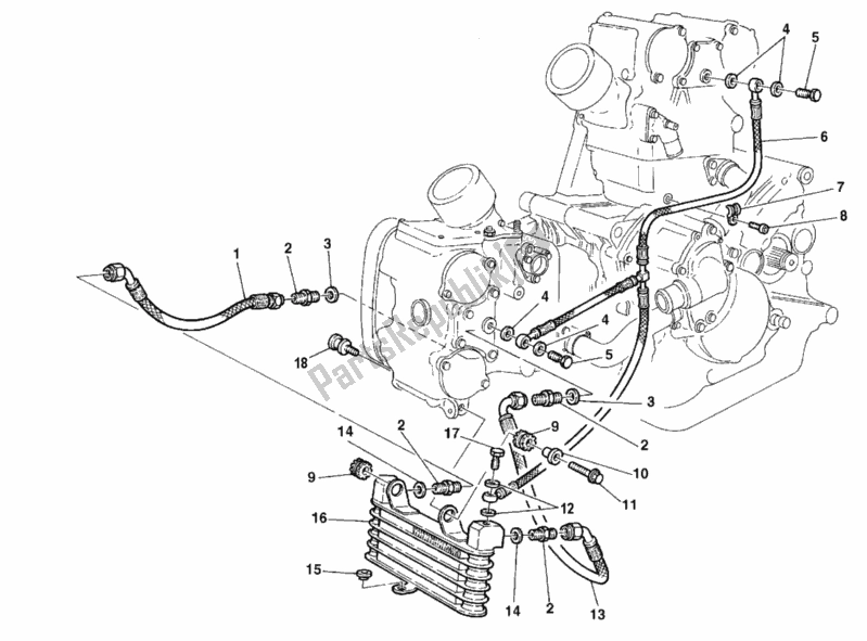 Alle onderdelen voor de Olie Koeler van de Ducati Superbike 996 1999