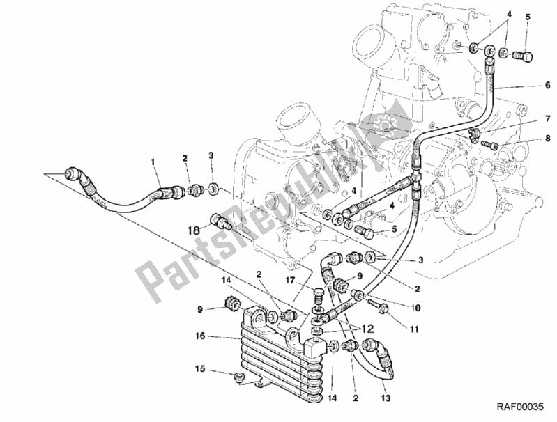 Alle onderdelen voor de Olie Koeler van de Ducati Superbike 996 2000