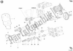 cinghia di distribuzione