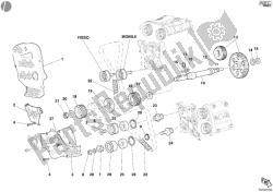 cinghia di distribuzione