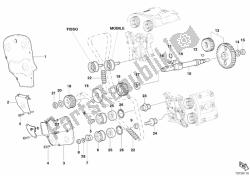 cinghia di distribuzione