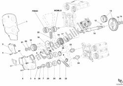 cinghia di distribuzione