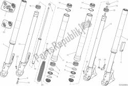 forcella anteriore