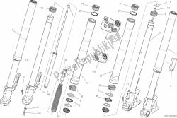 forcella anteriore