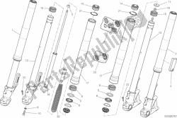 21a - forcella anteriore