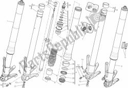 forcella anteriore