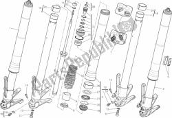 forcella anteriore