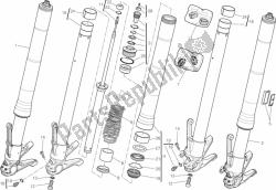 forcella anteriore
