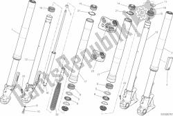 21a - forcella anteriore