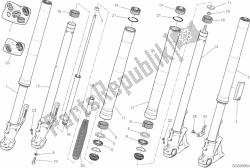 forcella anteriore