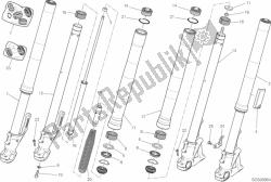 forcella anteriore