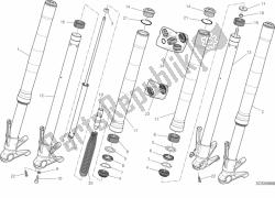 forcella anteriore