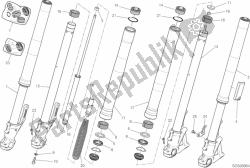 forcella anteriore