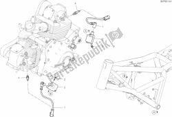 Wiring Harness (coil)