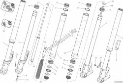 forcella anteriore