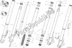 forcella anteriore