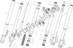 21a - forcella anteriore