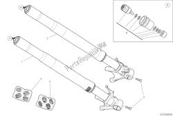 forcella anteriore