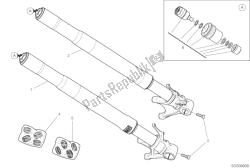 forcella anteriore