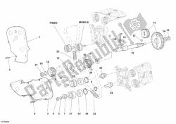 cinghia di distribuzione