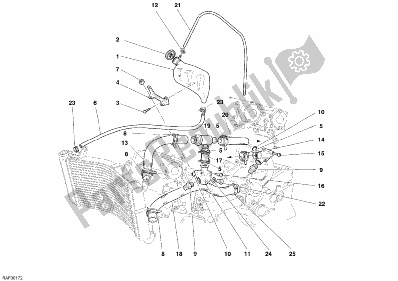 Tutte le parti per il Circuito Di Raffreddamento del Ducati Monster S4 R 996 2006